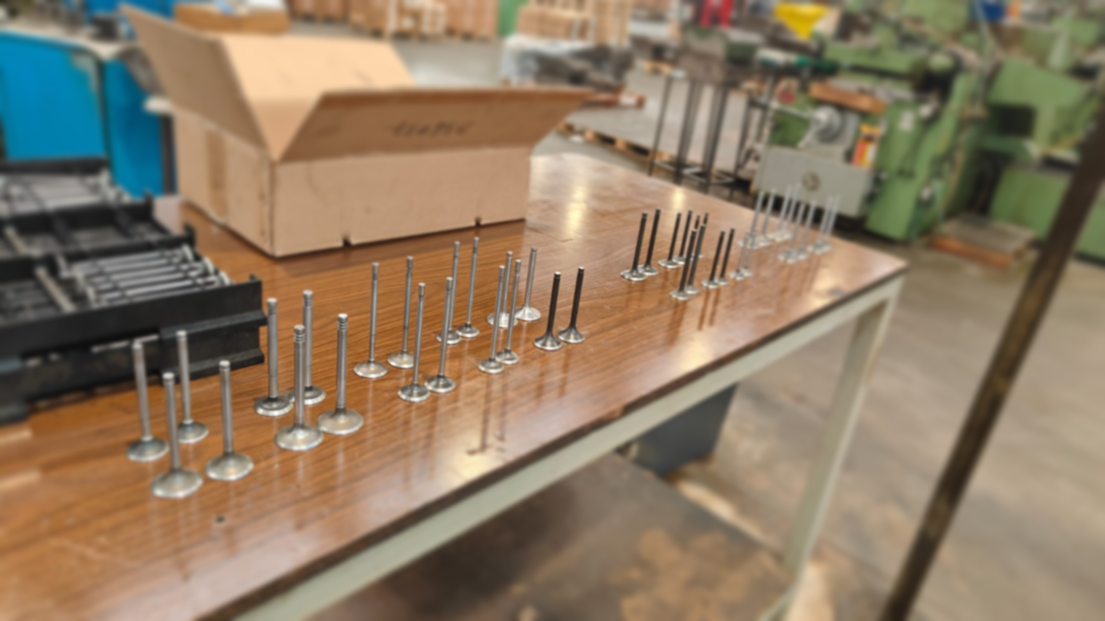 Tecnostar India Valves Range