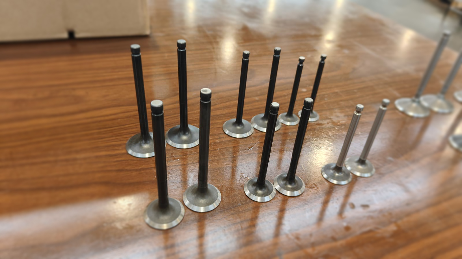 Tecnostar India Valves