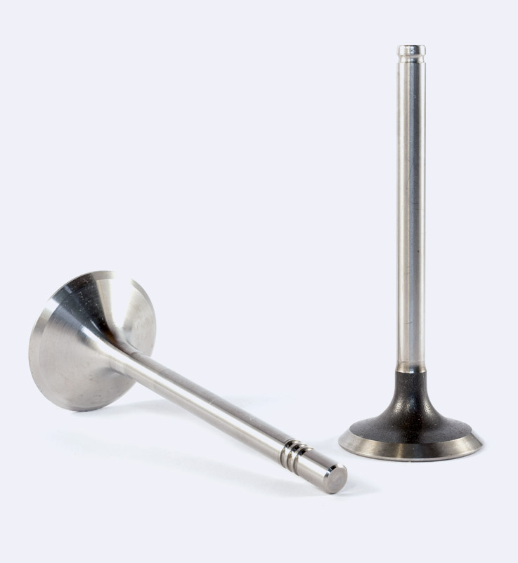 Tecnostar Engine Valves